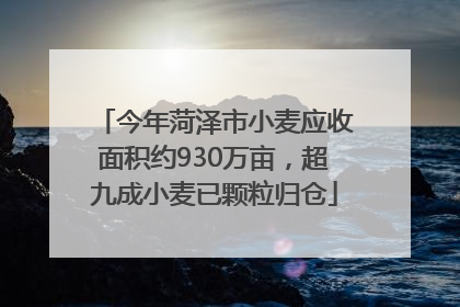 今年菏泽市小麦应收面积约930万亩，超九成小麦已颗粒归仓