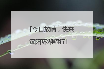今日放晴，快来汉阳环湖骑行