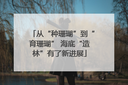 从“种珊瑚”到“育珊瑚” 海底“造林”有了新进展