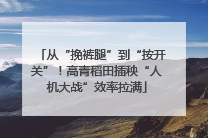 从“挽裤腿”到“按开关”！高青稻田插秧“人机大战”效率拉满