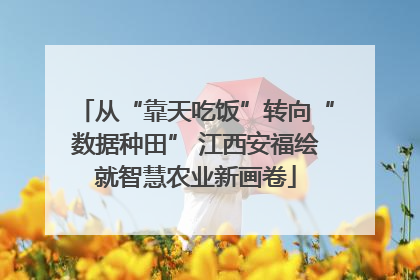 从“靠天吃饭”转向“数据种田” 江西安福绘就智慧农业新画卷