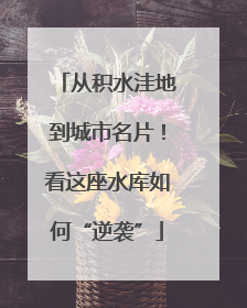 从积水洼地到城市名片！看这座水库如何“逆袭”