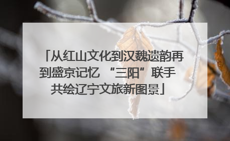 从红山文化到汉魏遗韵再到盛京记忆 “三阳”联手共绘辽宁文旅新图景