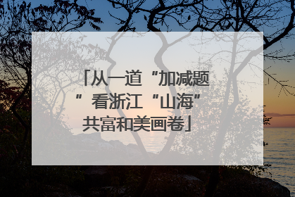 从一道“加减题”看浙江“山海”共富和美画卷