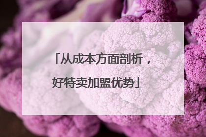 从成本方面剖析，好特卖加盟优势