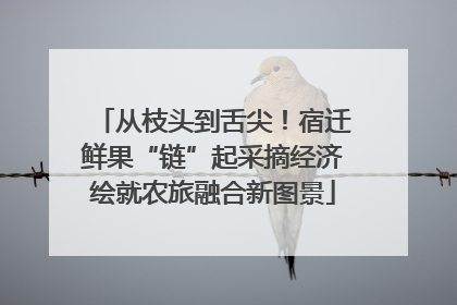 从枝头到舌尖！宿迁鲜果“链”起采摘经济绘就农旅融合新图景