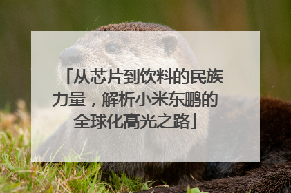 从芯片到饮料的民族力量，解析小米东鹏的全球化高光之路