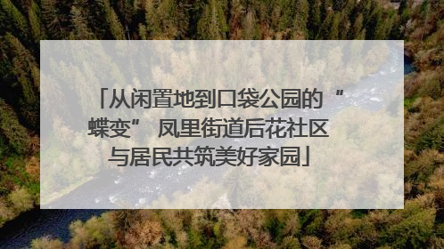 从闲置地到口袋公园的“蝶变” 凤里街道后花社区与居民共筑美好家园