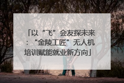 以“飞”会友探未来：“金陵工匠”无人机培训赋能就业新方向