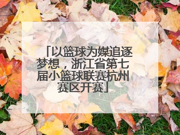 以篮球为媒追逐梦想，浙江省第七届小篮球联赛杭州赛区开赛
