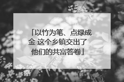 以竹为笔、点绿成金 这个乡镇交出了他们的共富答卷