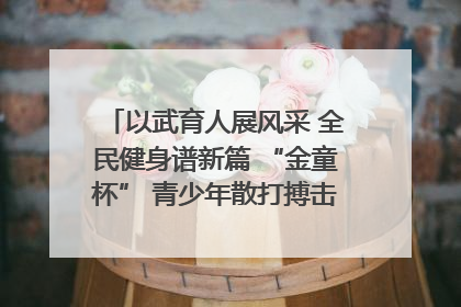 以武育人展风采 全民健身谱新篇 “金童杯” 青少年散打搏击邀请赛圆满落幕