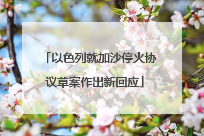 以色列就加沙停火协议草案作出新回应