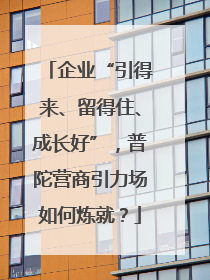 企业“引得来、留得住、成长好”，普陀营商引力场如何炼就？