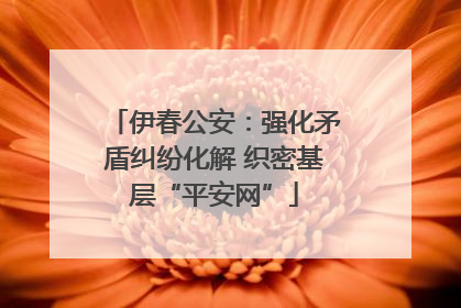 伊春公安：强化矛盾纠纷化解 织密基层“平安网”