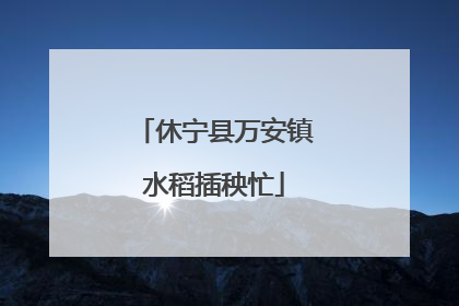 休宁县万安镇水稻插秧忙