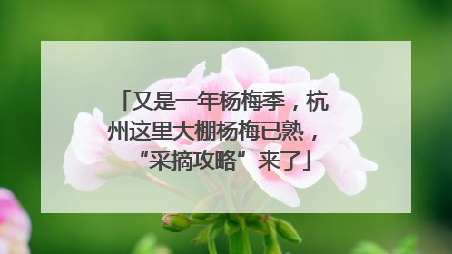 又是一年杨梅季，杭州这里大棚杨梅已熟，“采摘攻略”来了