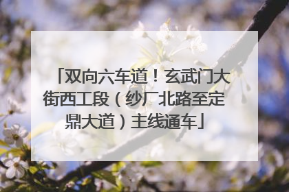双向六车道！玄武门大街西工段（纱厂北路至定鼎大道）主线通车