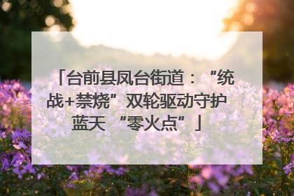 台前县凤台街道：“统战+禁烧”双轮驱动守护蓝天 “零火点”