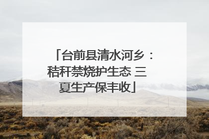 台前县清水河乡：秸秆禁烧护生态 三夏生产保丰收