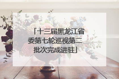 十三届黑龙江省委第七轮巡视第二批次完成进驻