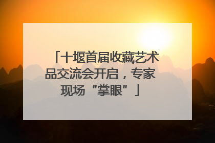 十堰首届收藏艺术品交流会开启，专家现场“掌眼”