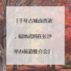 千年古城卤香浓，福地武冈在长沙举办旅游推介会