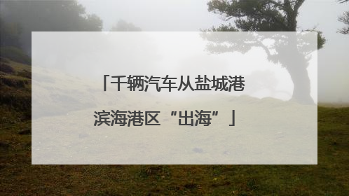 千辆汽车从盐城港滨海港区“出海”