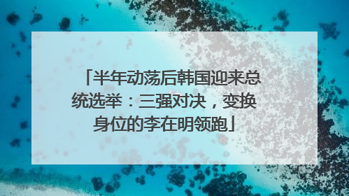 半年动荡后韩国迎来总统选举：三强对决，变换身位的李在明领跑