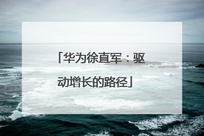 华为徐直军：驱动增长的路径