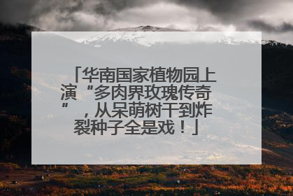 华南国家植物园上演“多肉界玫瑰传奇”，从呆萌树干到炸裂种子全是戏！