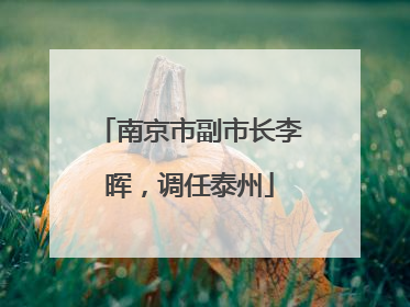 南京市副市长李晖，调任泰州