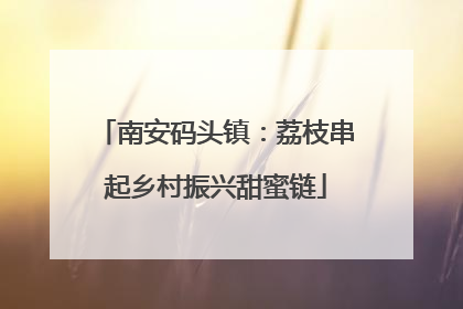 南安码头镇：荔枝串起乡村振兴甜蜜链