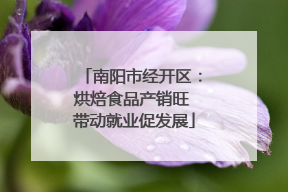 南阳市经开区：烘焙食品产销旺 带动就业促发展