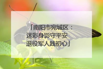 南阳市宛城区：迷彩身影守平安 退役军人践初心
