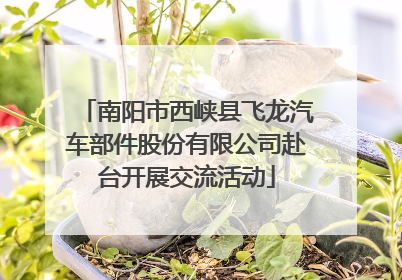南阳市西峡县飞龙汽车部件股份有限公司赴台开展交流活动