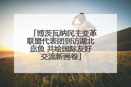 博茨瓦纳民主变革联盟代表团到访湖北嘉鱼 共绘国际友好交流新画卷