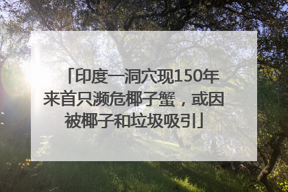 印度一洞穴现150年来首只濒危椰子蟹，或因被椰子和垃圾吸引