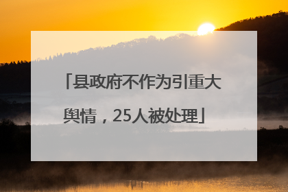 县政府不作为引重大舆情，25人被处理