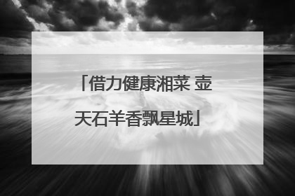 借力健康湘菜 壶天石羊香飘星城