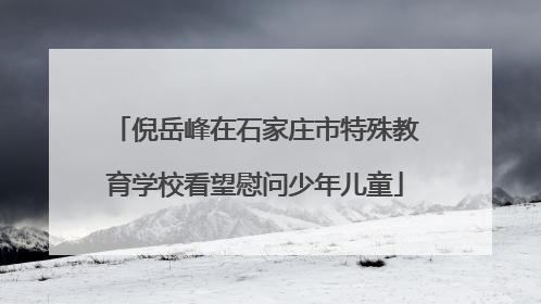 倪岳峰在石家庄市特殊教育学校看望慰问少年儿童