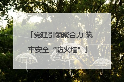 党建引领聚合力 筑牢安全“防火墙”