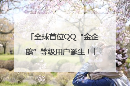 全球首位QQ“金企鹅”等级用户诞生！