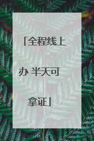 全程线上办 半天可拿证