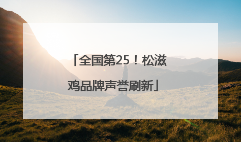 全国第25！松滋鸡品牌声誉刷新