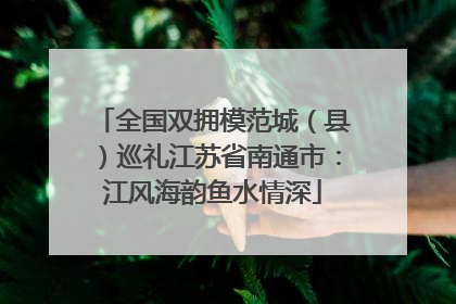 全国双拥模范城（县）巡礼江苏省南通市：江风海韵鱼水情深
