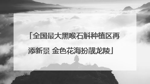 全国最大黑喉石斛种植区再添新景 金色花海扮靓龙陵