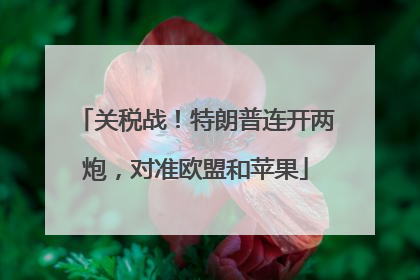 关税战！特朗普连开两炮，对准欧盟和苹果