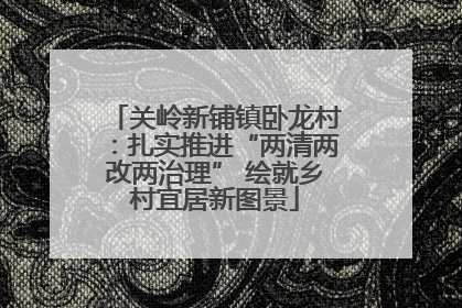 关岭新铺镇卧龙村：扎实推进“两清两改两治理” 绘就乡村宜居新图景
