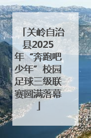 关岭自治县2025年“奔跑吧少年”校园足球三级联赛圆满落幕